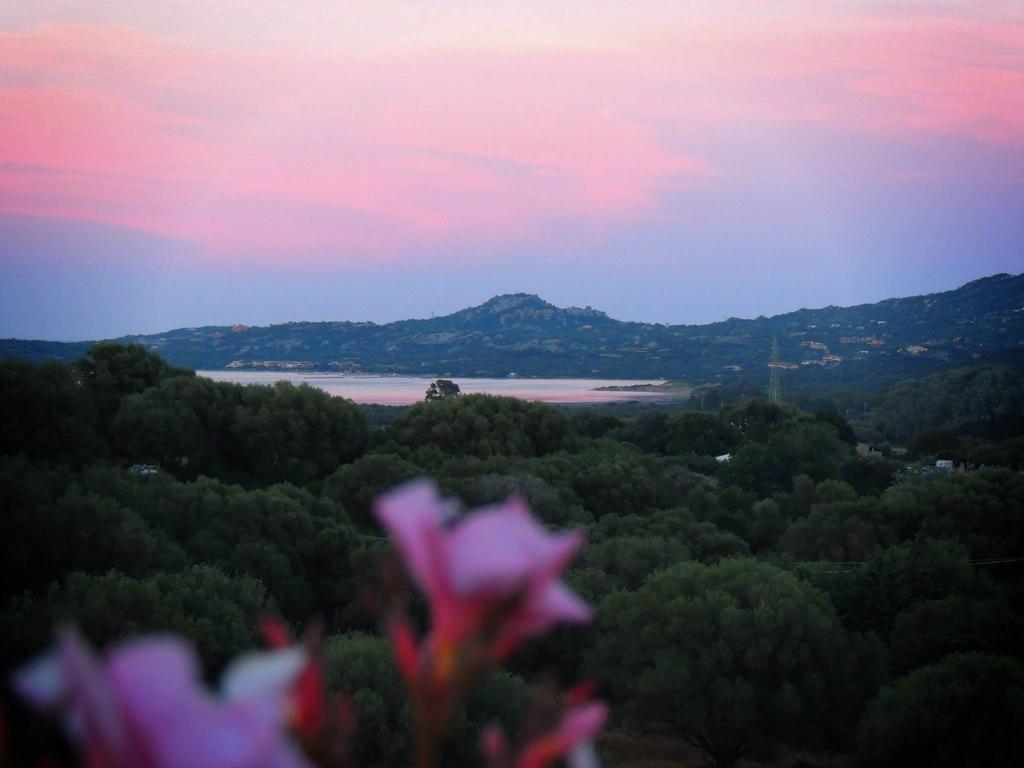 Agriturismo Sa Mendhula クニャナ 部屋 写真