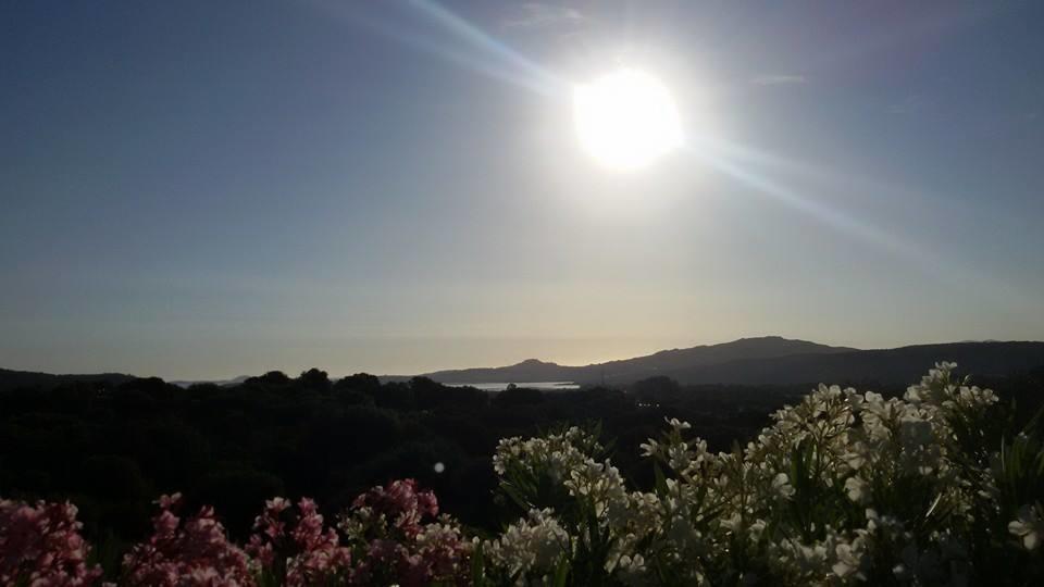 Agriturismo Sa Mendhula クニャナ 部屋 写真