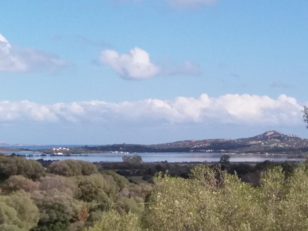 Agriturismo Sa Mendhula クニャナ エクステリア 写真