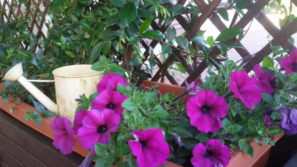 Agriturismo Sa Mendhula クニャナ エクステリア 写真